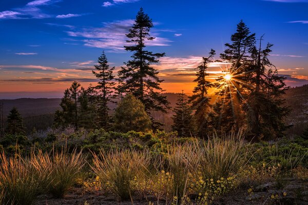 Paysage. Aube envoûtante dans les montagnes