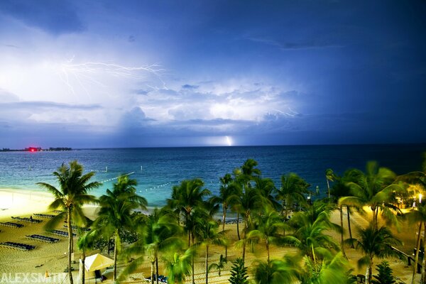 Багамские острова пальмы на морском побережье на фоне грозы