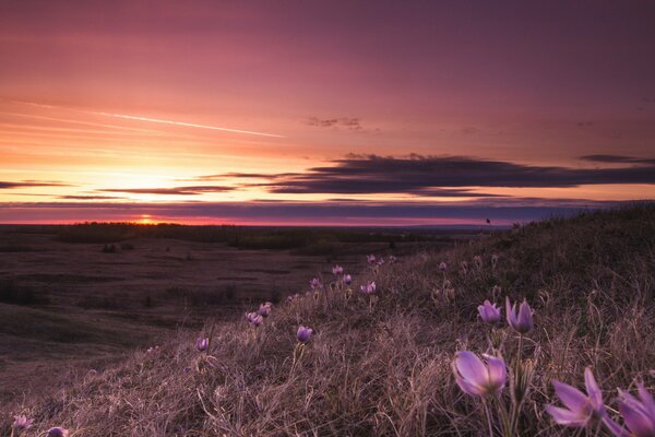 Los huéspedes paisaje al atardecer