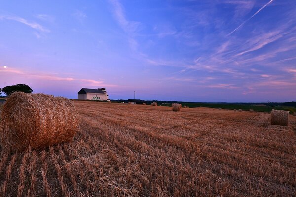 Meules de foin sur fond de coucher de soleil