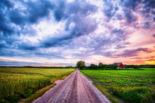 Ein Landweg, der durch die Felder vor dem Hintergrund eines schönen Sonnenuntergangs geht