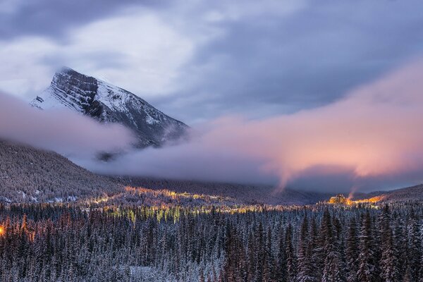 Forest at the foot of mountains shrouded in fog