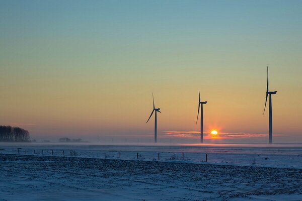 Windmills at sunset