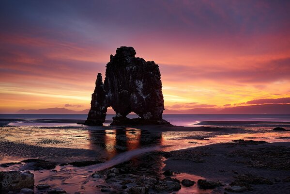 Bella alba vicino alla roccia