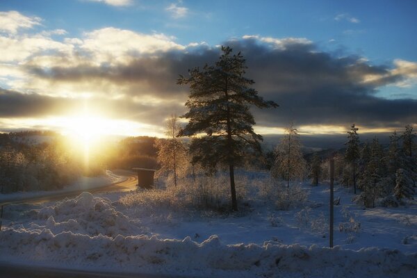 Утренний зимний снежный пейзаж