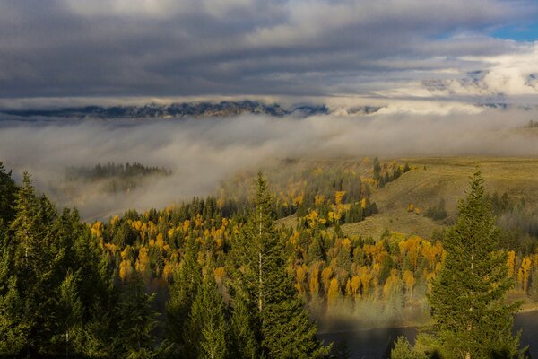 Mgła chmury drzewa jesień