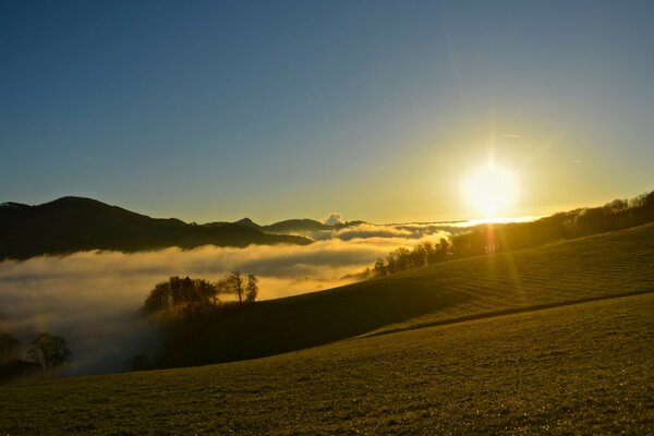 Morgennebel über dem Feld