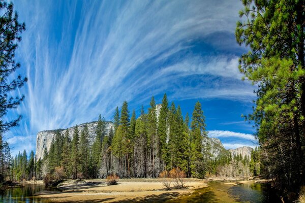 National Park in the forest during the day