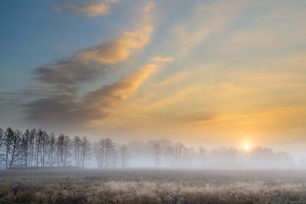 Autumn fog in the early morning