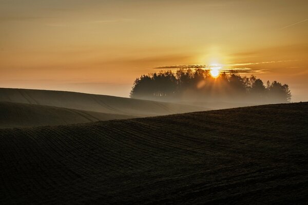 Neblige Feldlandschaft bei Sonnenuntergang