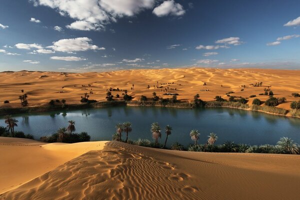 Eine Oase in der schönen Sahara-Wüste