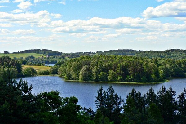 Fotos von Bäumen und Seen mit schönen Wolken