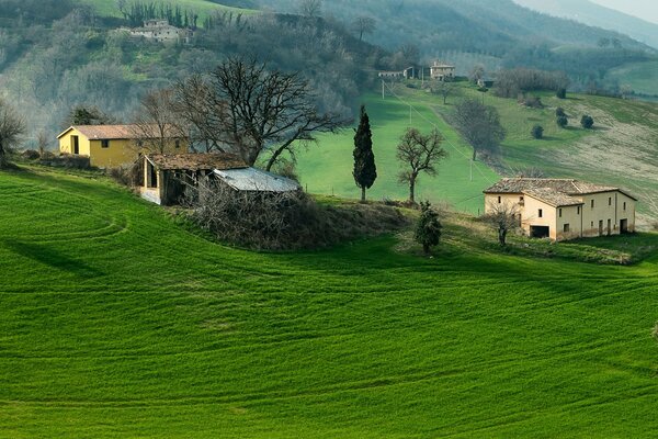 Maisons sur les collines d Italie