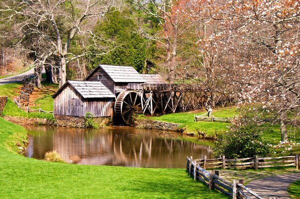 An unusual picturesque mill near the pond