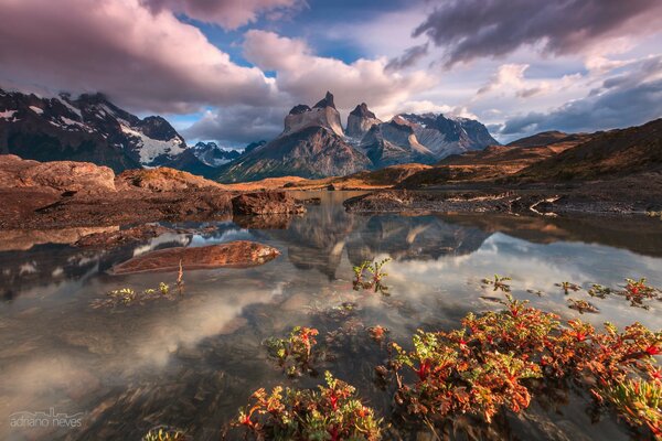 América del sur en febrero, Patagonia, montañas de los Andes, parque nacional torres del Paine