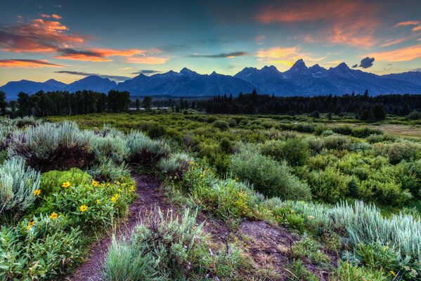 Sonnenuntergang im Grand Teton National Park