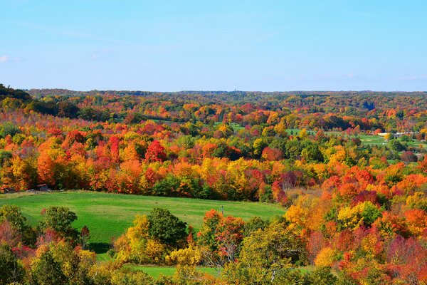 Autumn nature dressed in a riot of bright colors