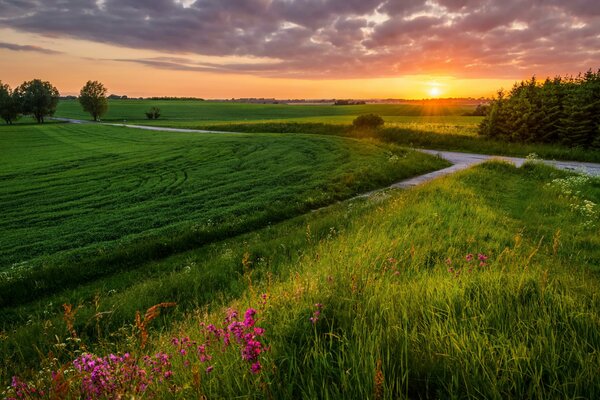 Hermoso paisaje de campo con puesta de sol de verano