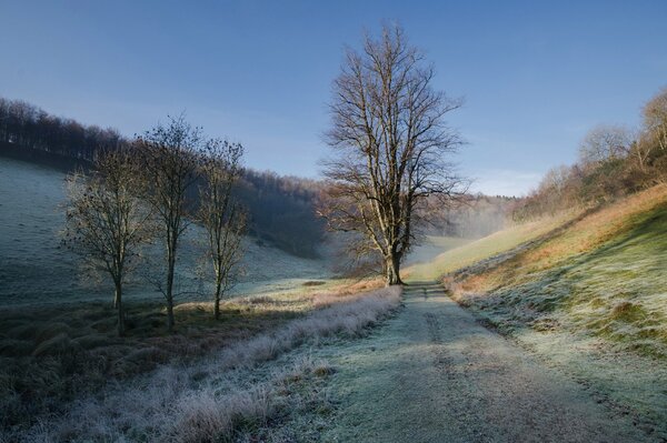 Die mit Frost bedeckte Straße entlang des Sees