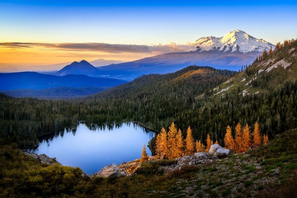 Blue lake among green fir trees