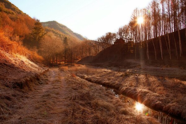 Foggy autumn morning in the mountains