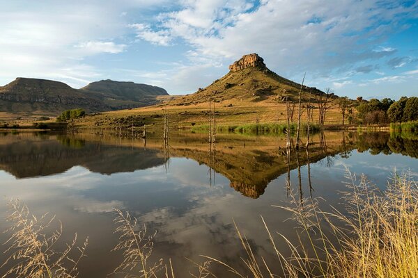 A lake with reeds on the background of a mountain