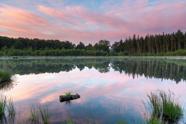 Paisaje de verano. Un lago sereno refleja el hermoso cielo