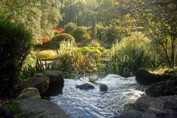 Regents Park in London