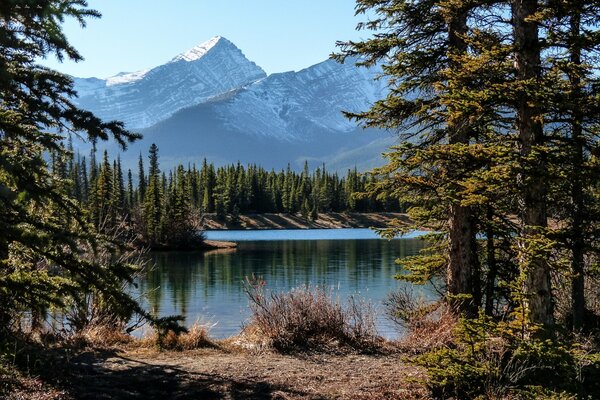 Lago rodeado de bosques y montañas