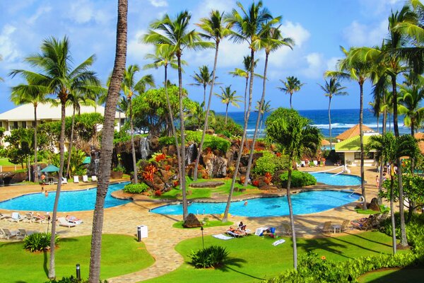 Vacation in the tropics with a swimming pool and palm trees