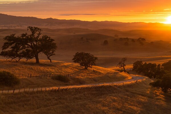 The scarlet sunset. Winding road