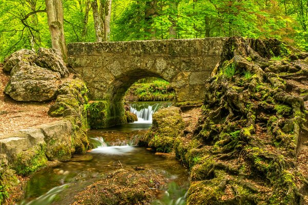 Paesaggio di un fiume di montagna e un ponte muschiato