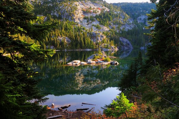 Die Natur der USA. Wald um den Bergsee