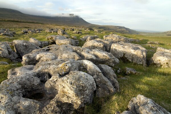 Photo stones on the field