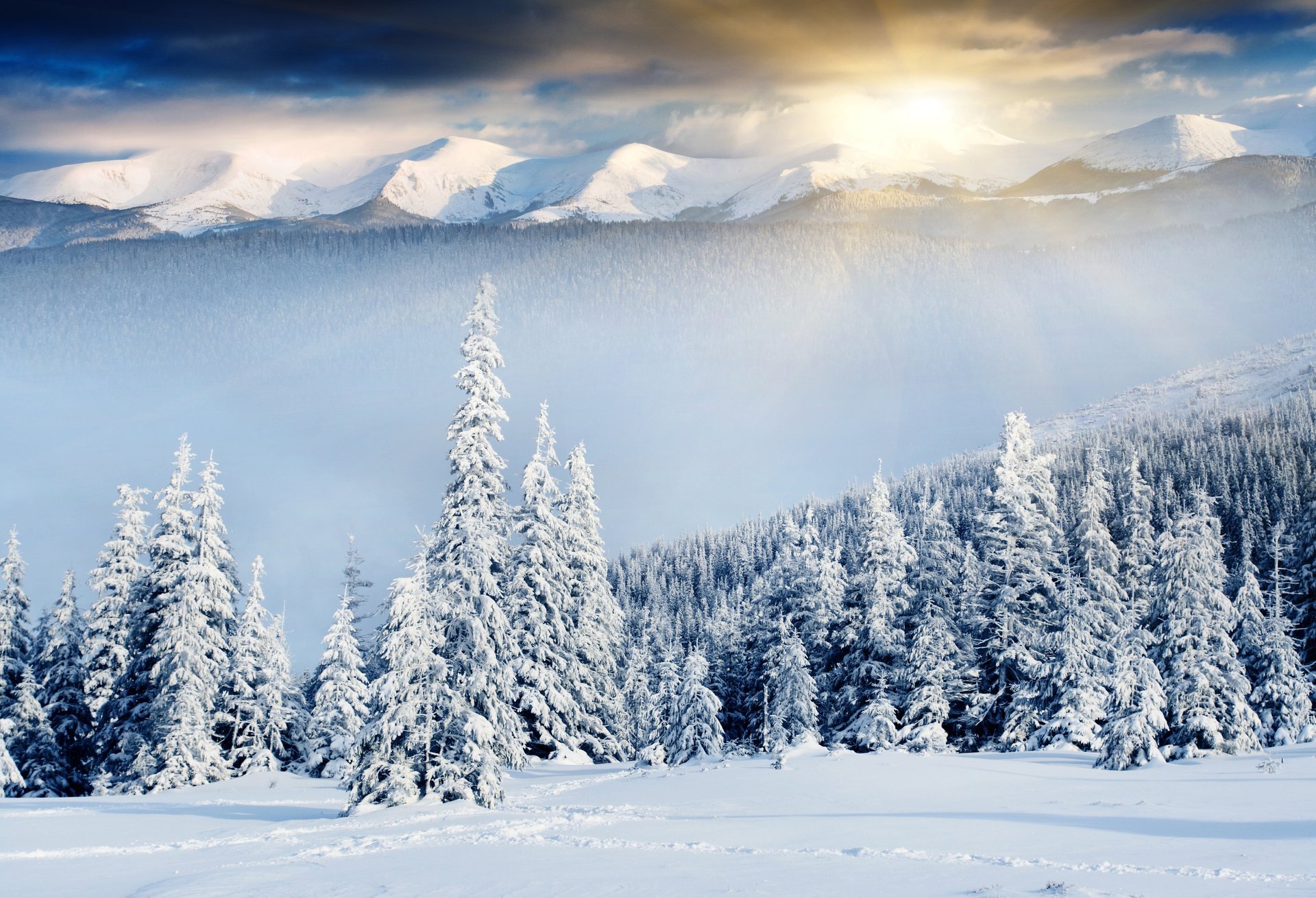 natur winter berge weihnachtsbäume schnee sonnenstrahlen winter