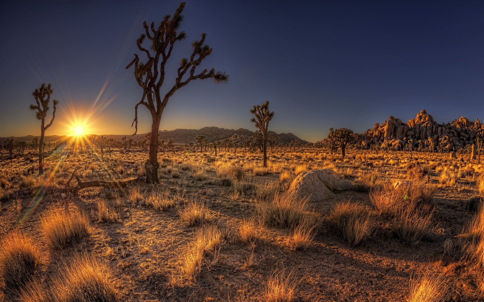 unset the field landscape