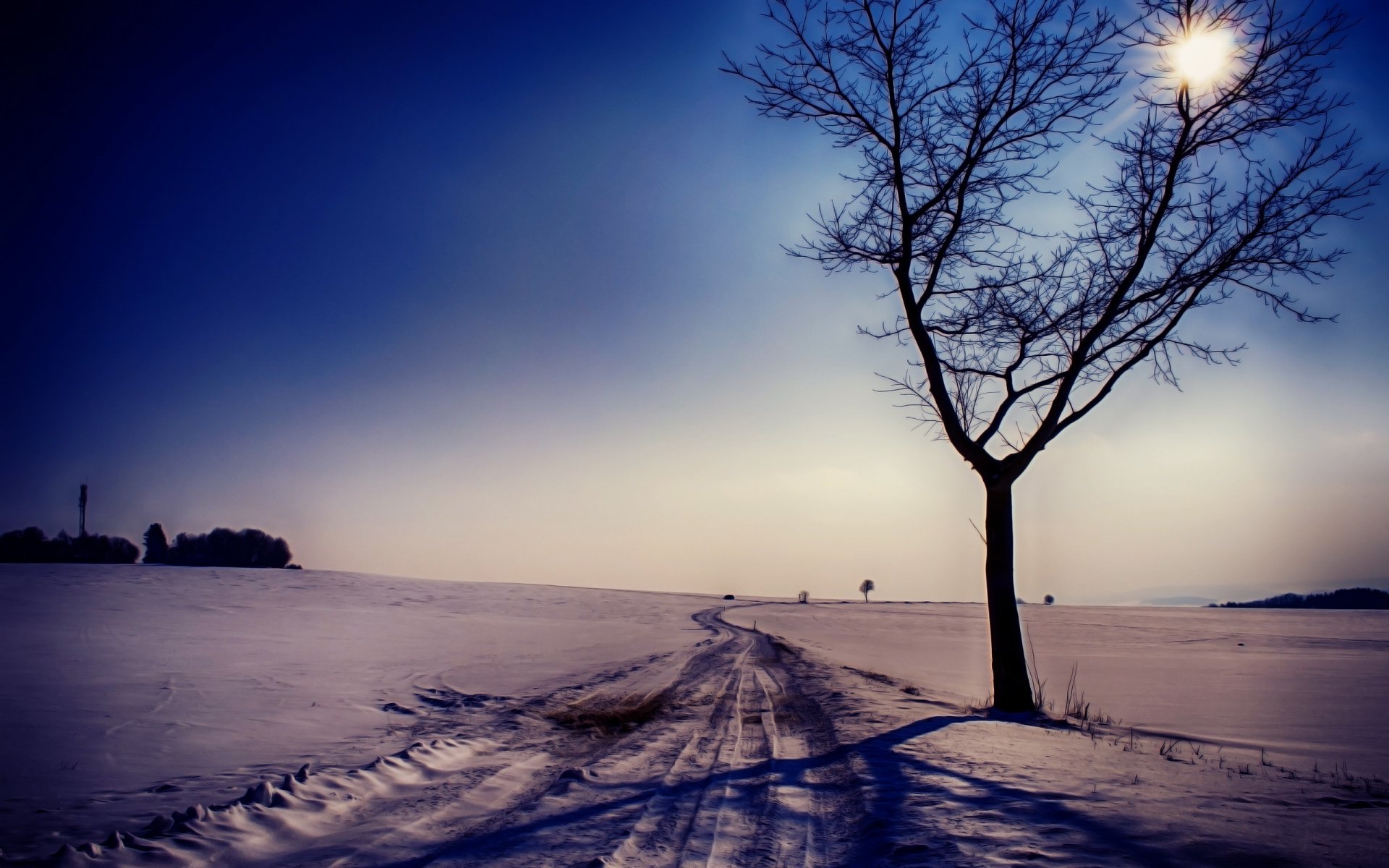 carretera invierno nieve árbol paisaje