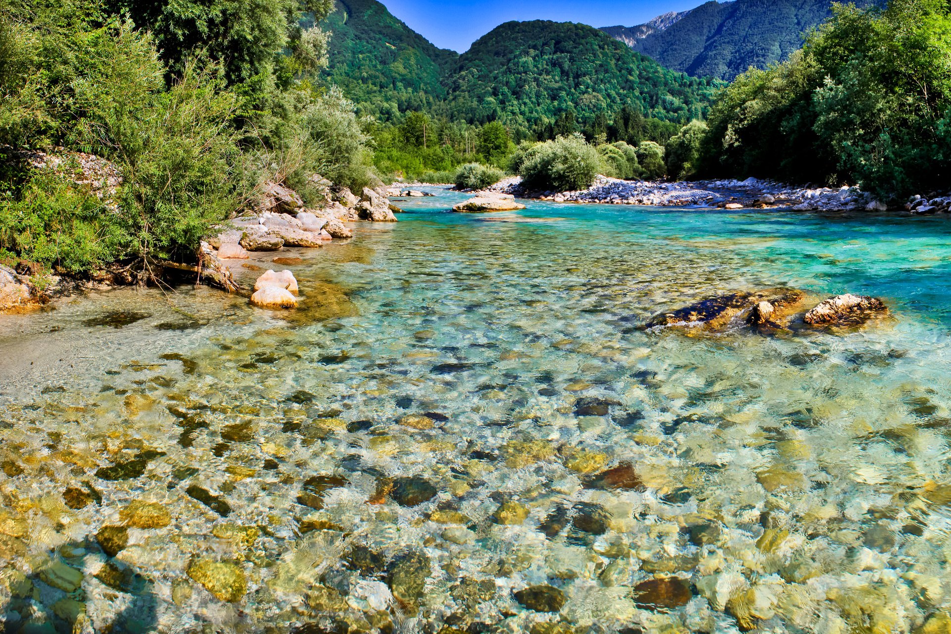 lovenia bovec river soca sky tree stones nature