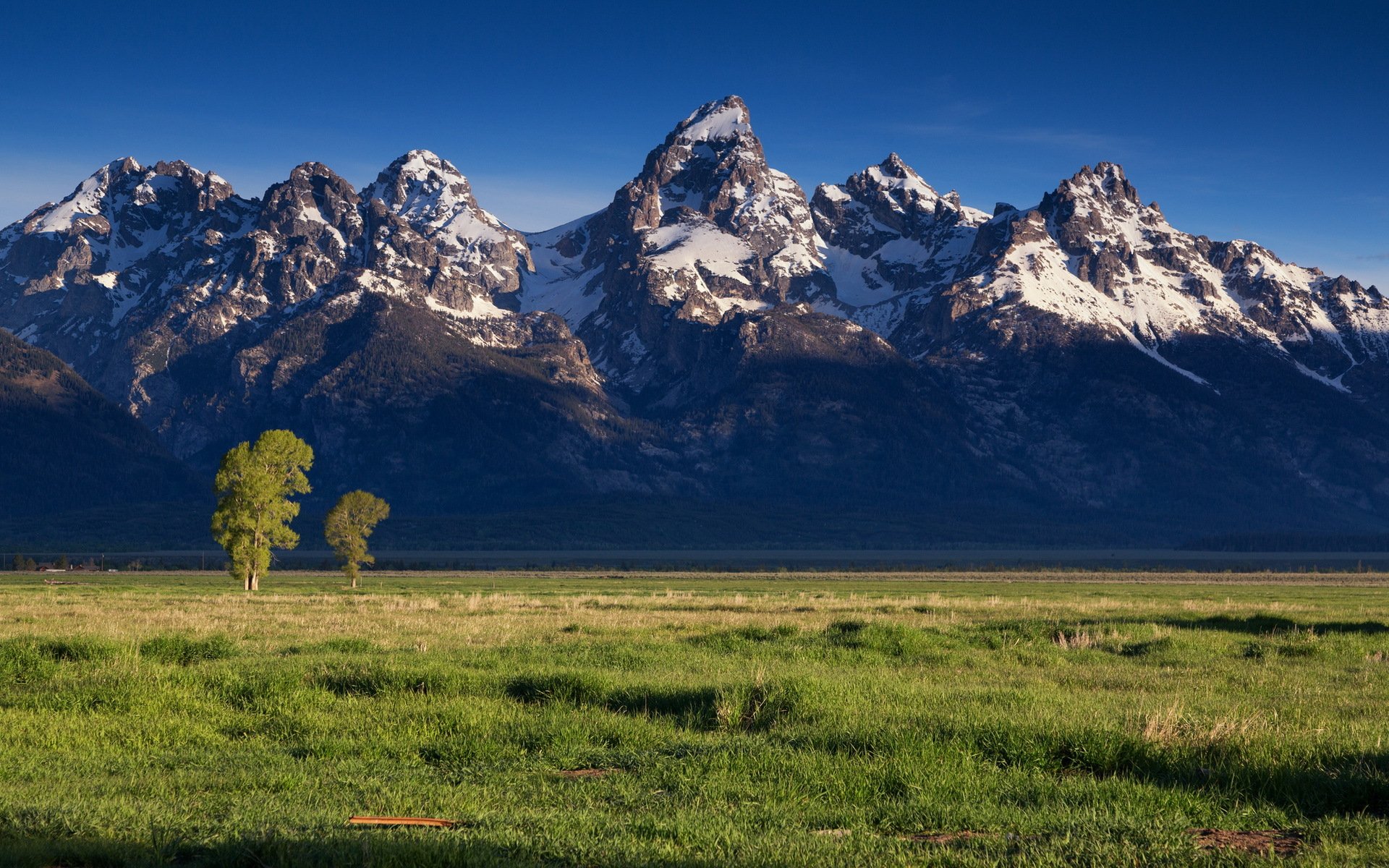 feld berge landschaft