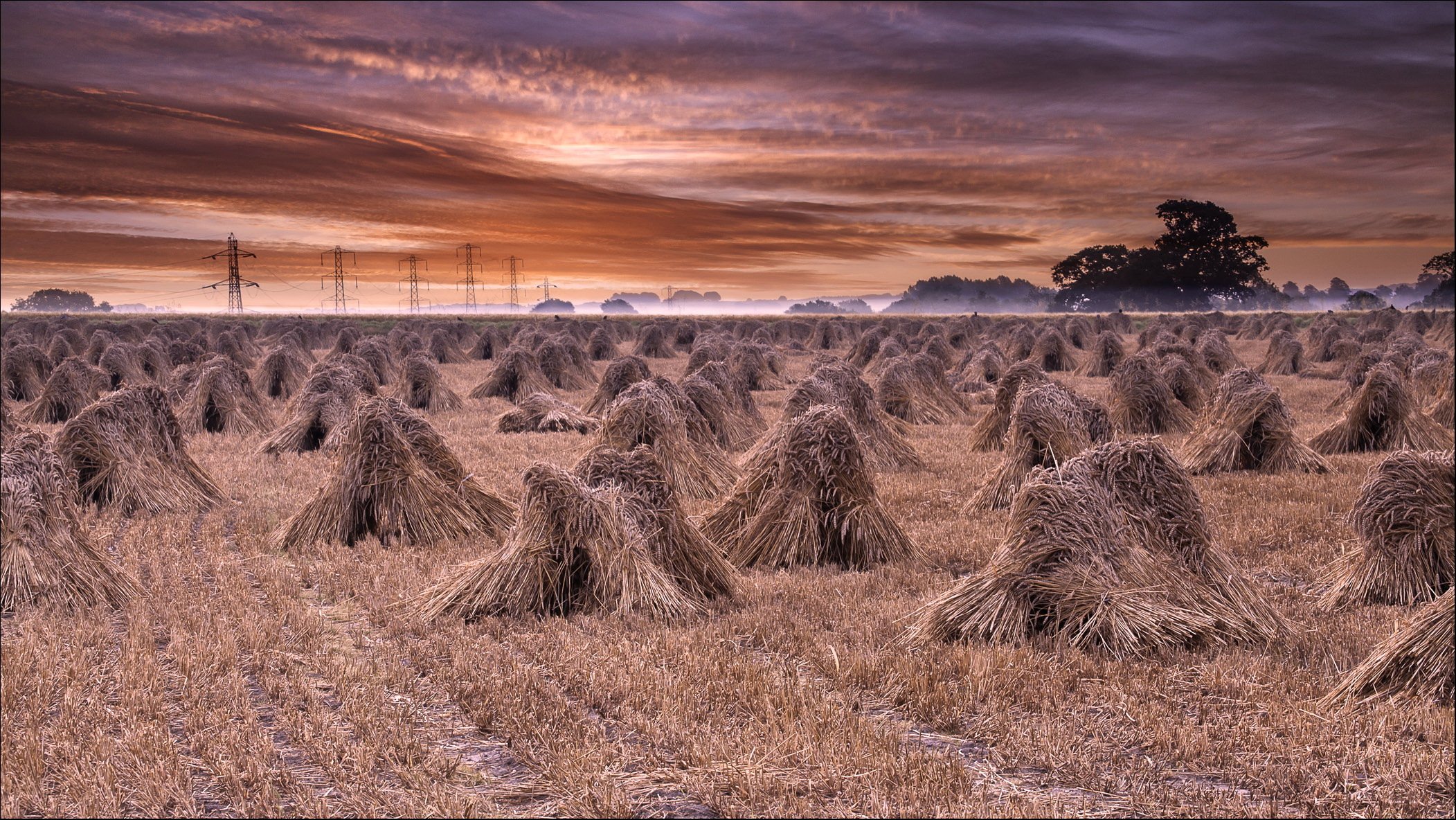 campo fieno paesaggio