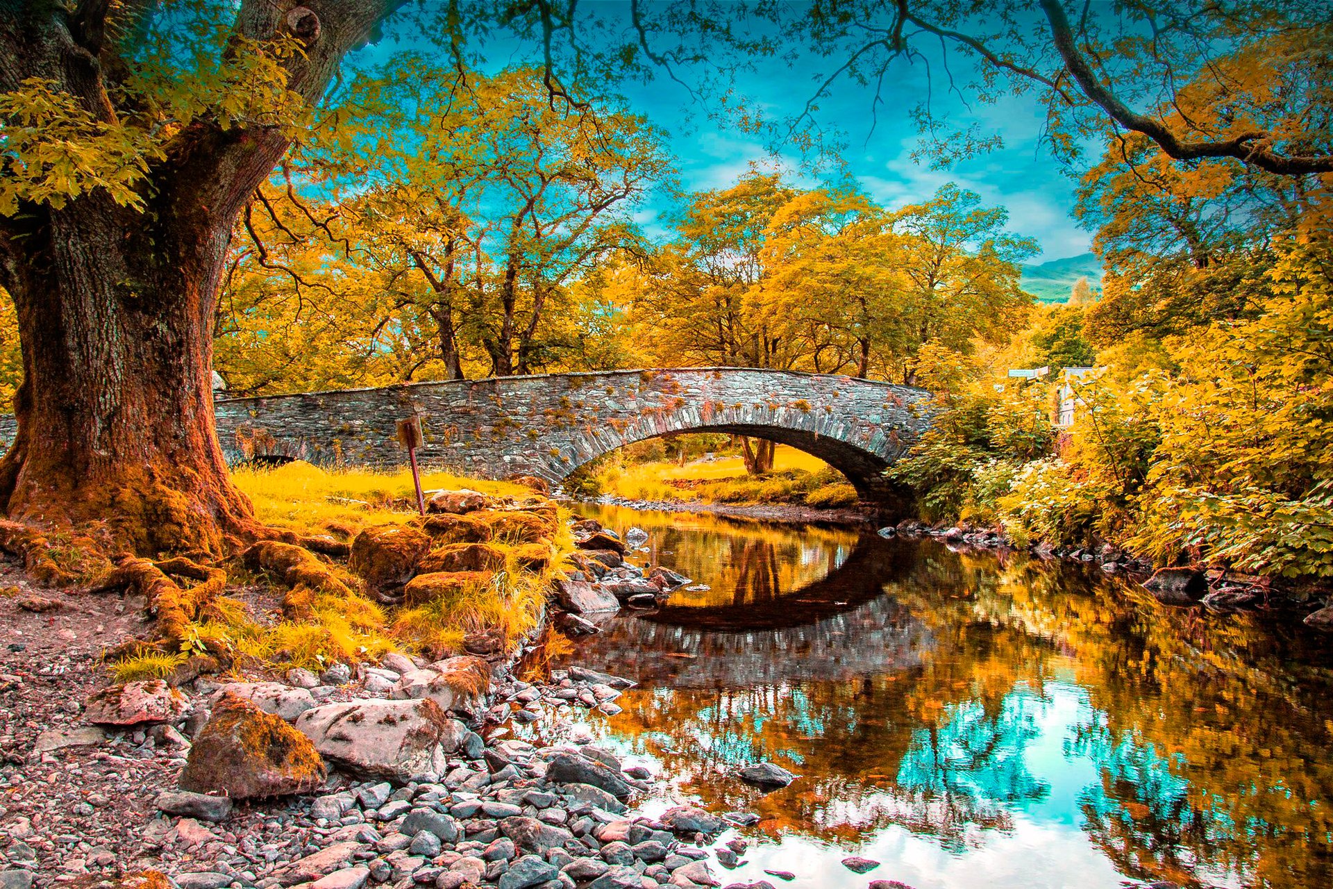 ky clouds forest park river tree bridge arch autumn