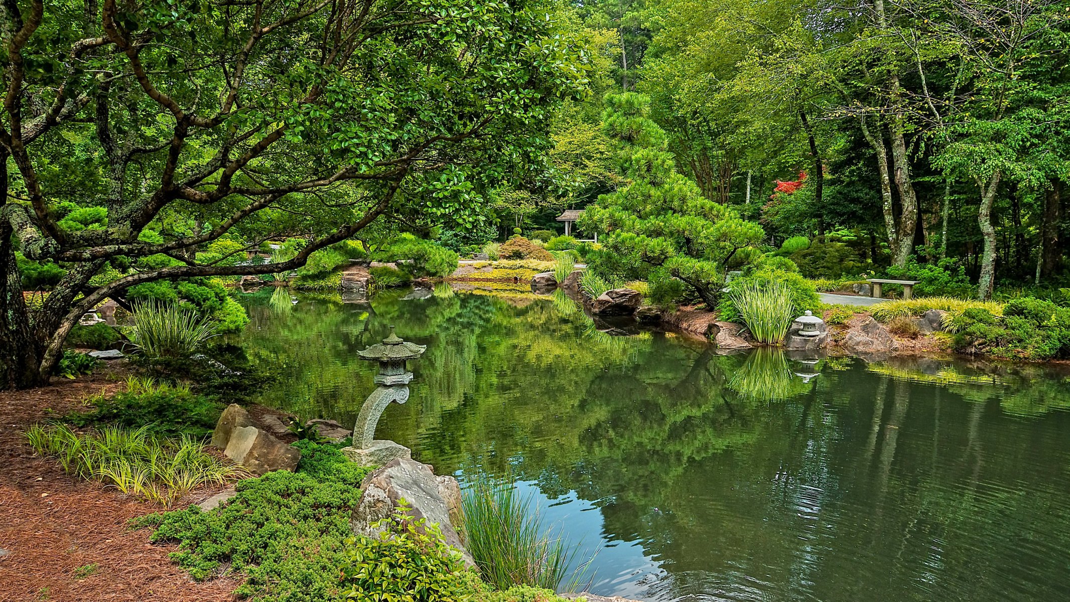 united states park river ball ground gibbs gardens tree nature photo