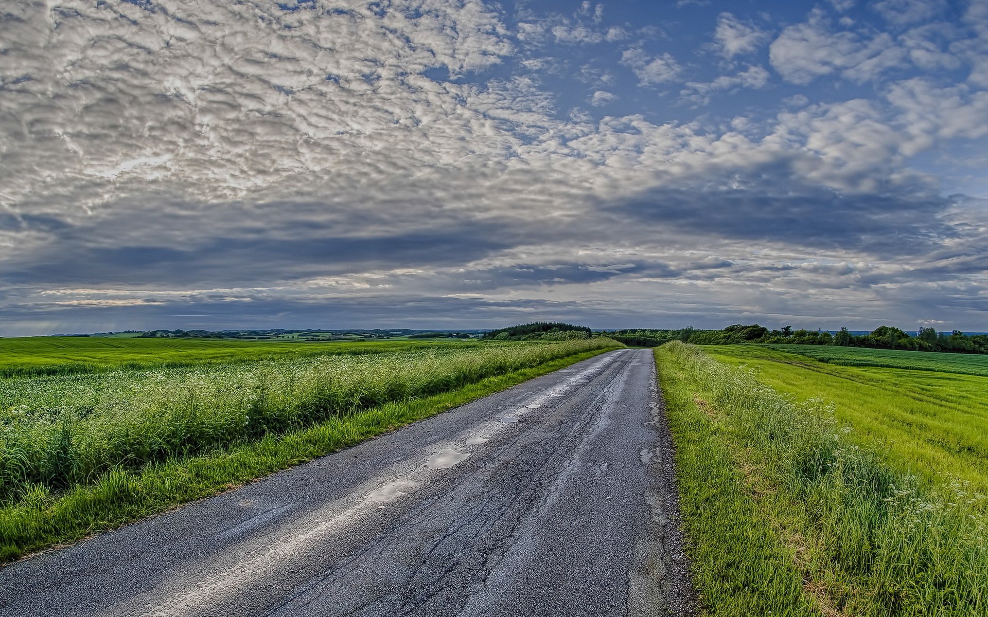 campo strada cielo paesaggio