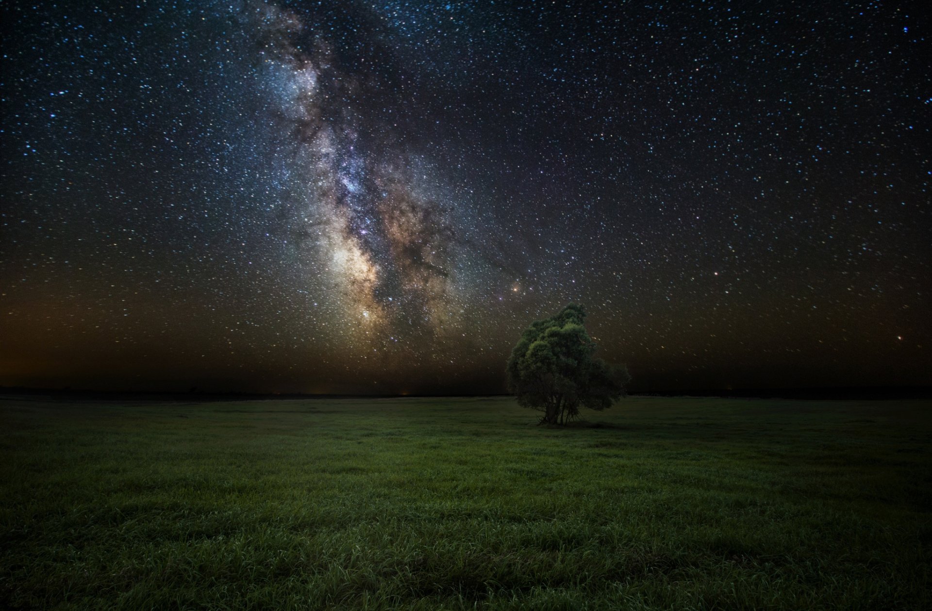 nacht sterne himmel milchstraße feld baum