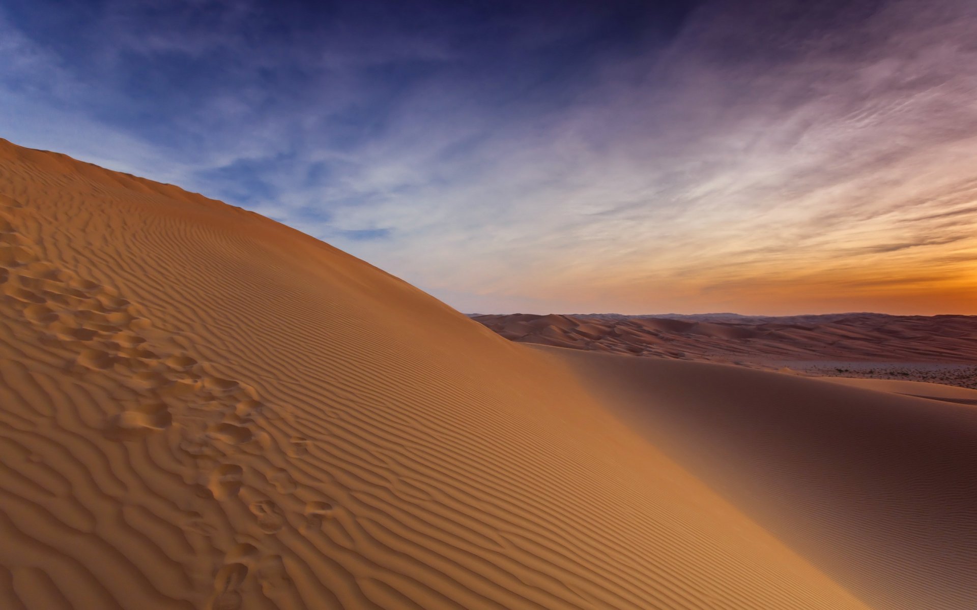 desert dune landscape