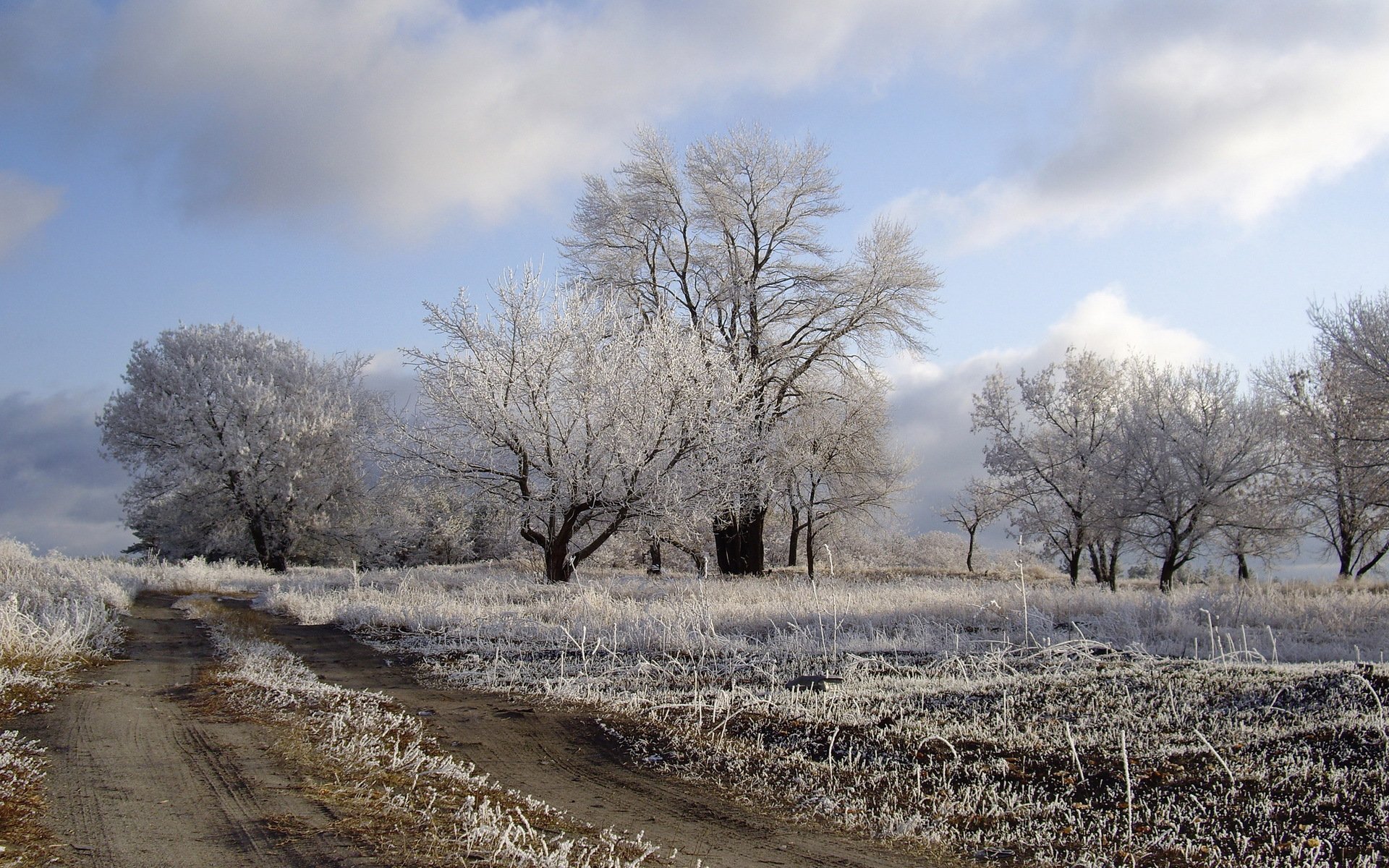 feld straße frost natur