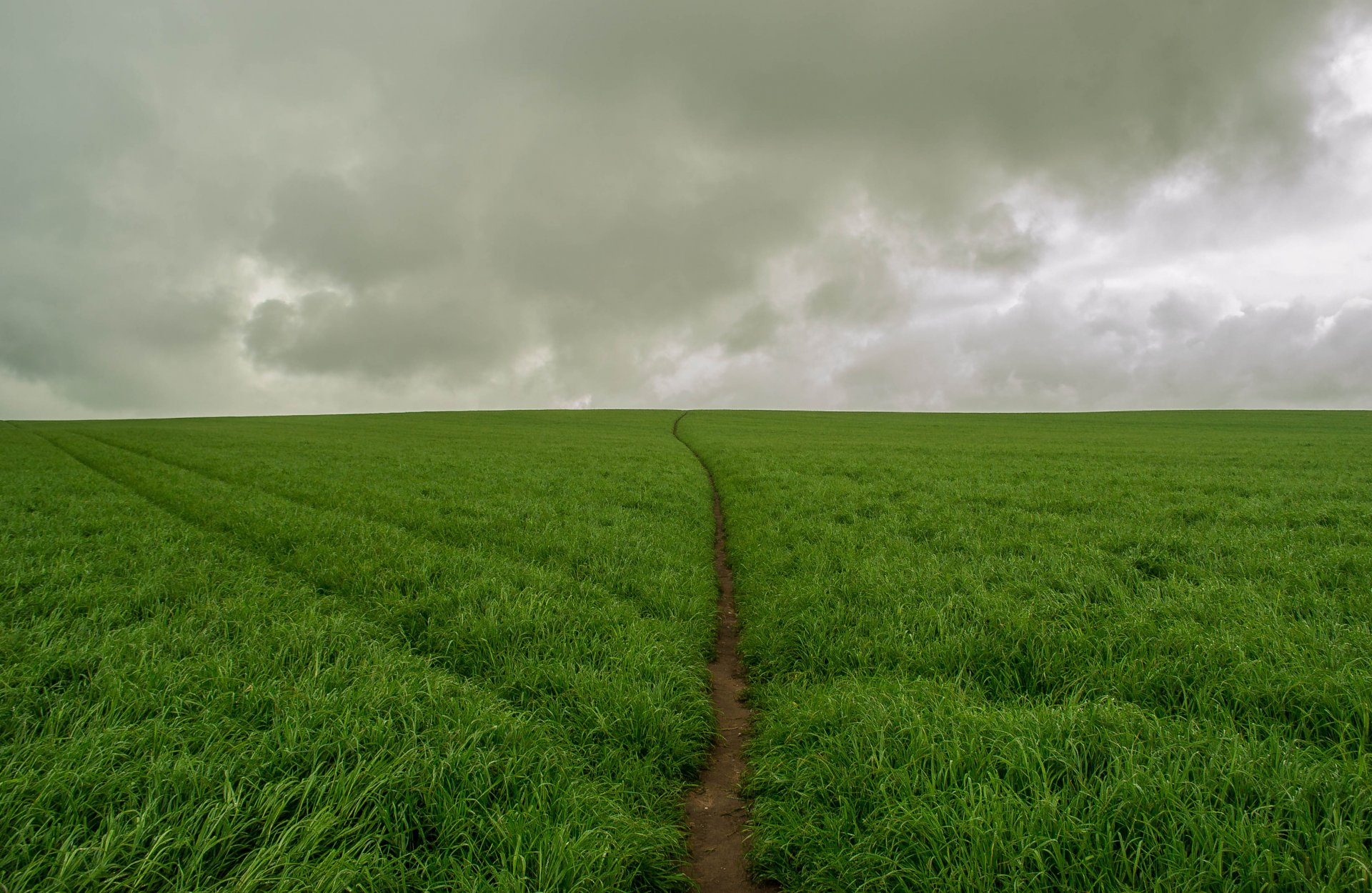 sturm feld wolken spur grün verfolgen