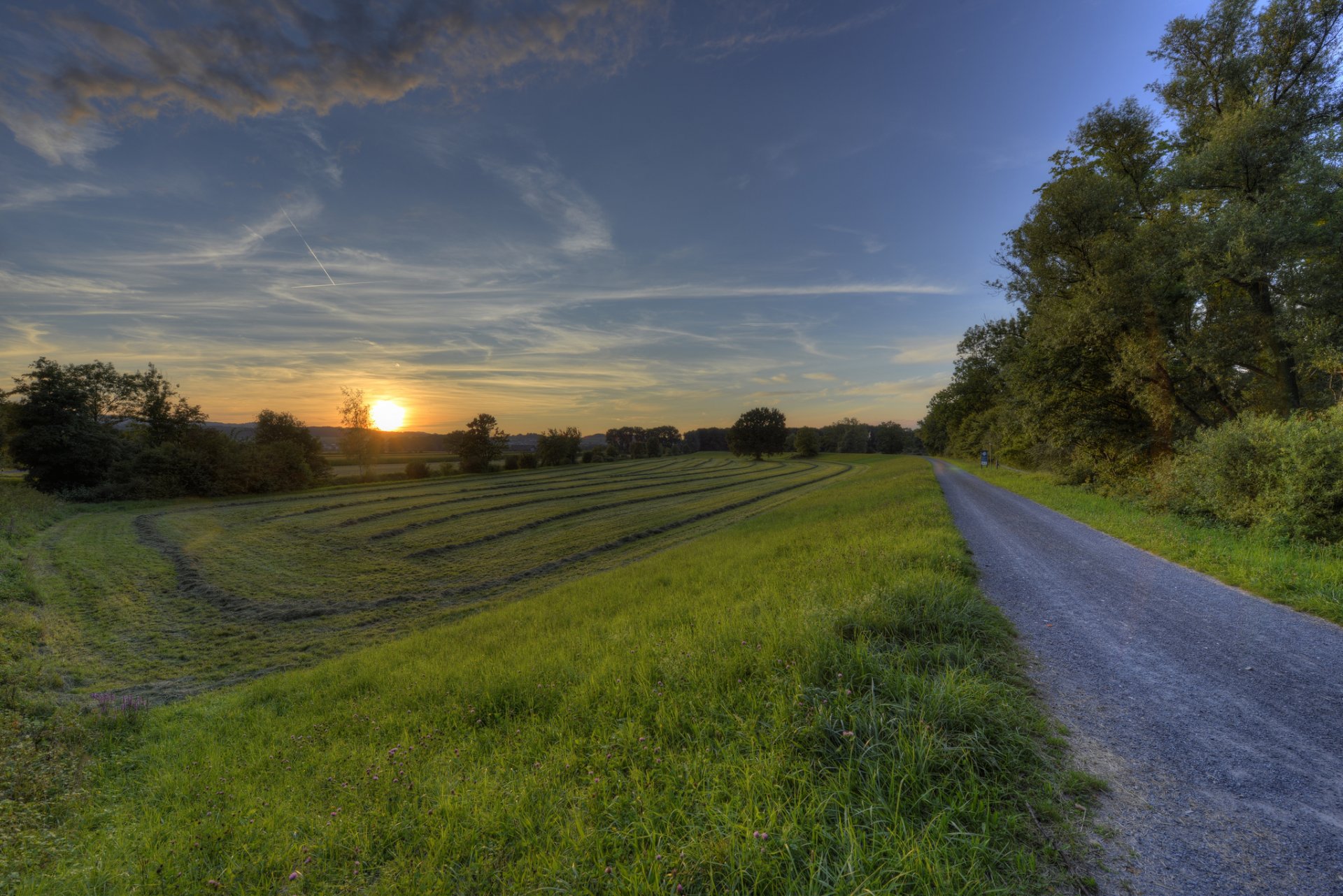 campo árboles puesta de sol camino