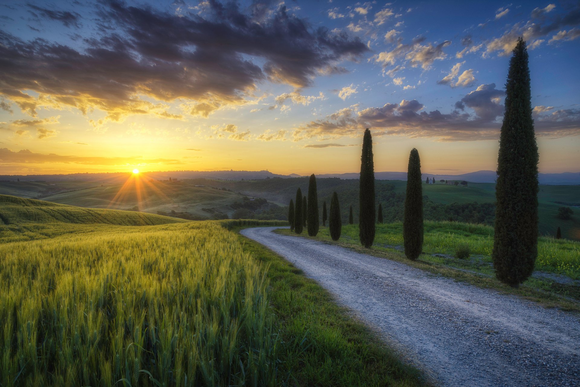 italia toscana mañana sol rayos luz campos camino árboles cipreses