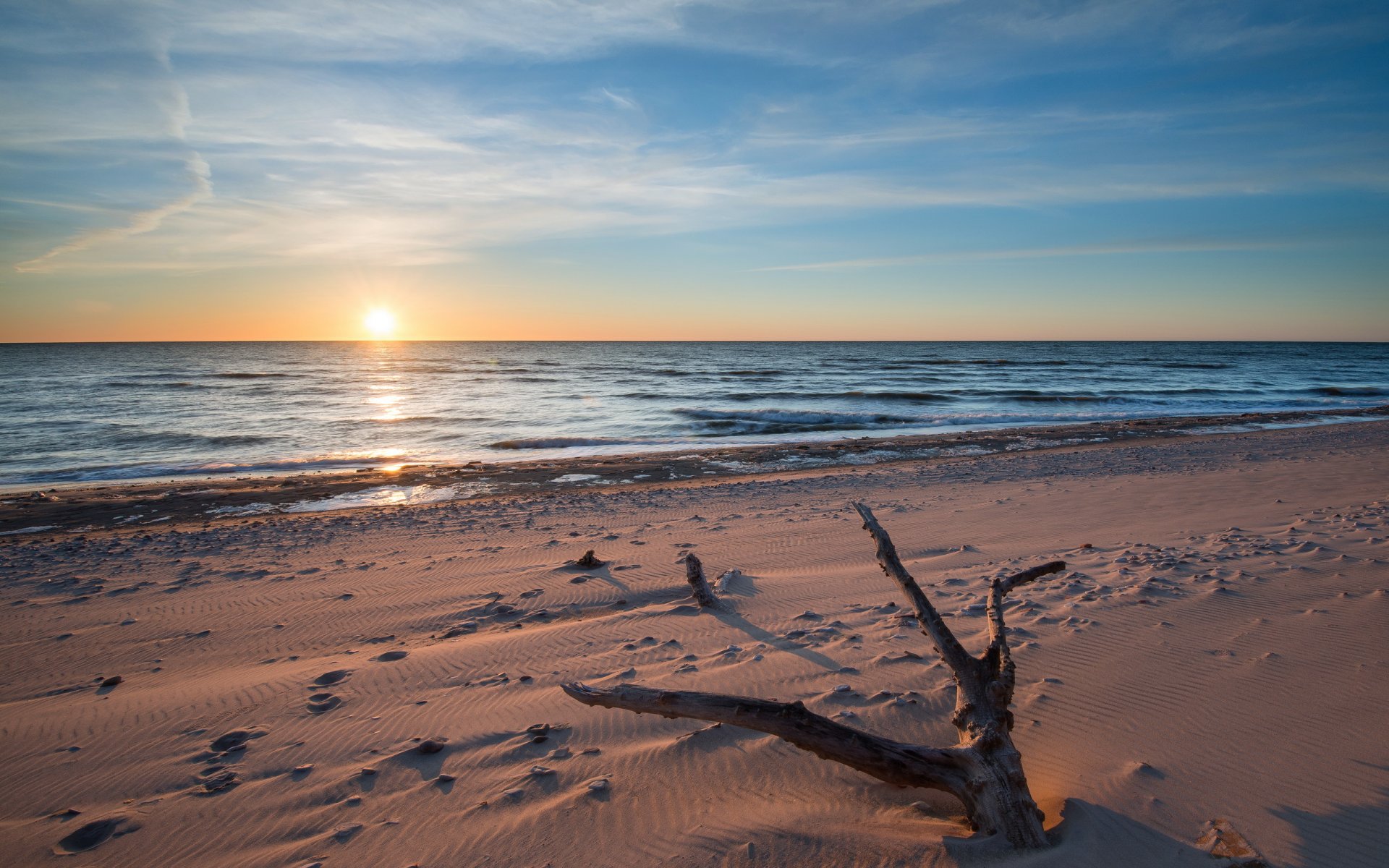 morze zachód słońca drzewo plaża krajobraz